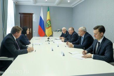 Пензенский губернатор провел переговоры с гендиректором ГК «ТНС энерго» Еленой Стельновой