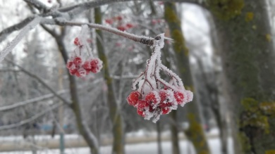 В Пензенской области в пятницу ожидается сильный мокрый снег