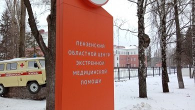 В Пензенской области за неделю при падении на улице травмировались более 250 человек