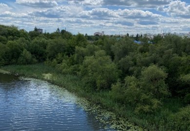 Пензенцев предупреждают о желтом уровне погодной опасности