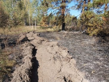 В Пензенской области за выходные четыре раза вспыхивал лес