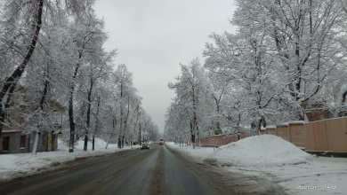 Пензенская область встретит 23 Февраля похолоданием до -18°С