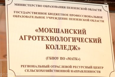 На ремонт крыши общежития Мокшанского колледжа выделят 8 млн рублей