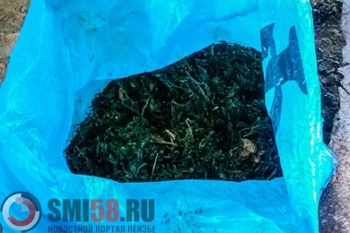У жителя Пензенской области дома нашли более трех килограммов конопли