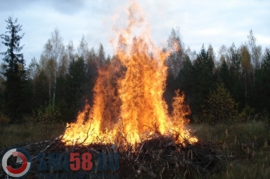 В Пензенской области потушен 38-й лесной пожар