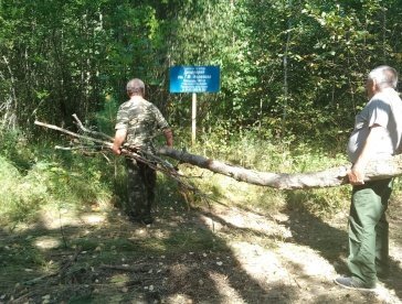 В Пензенской области спустя 13 лет восстановят дендрарий имени Морозова