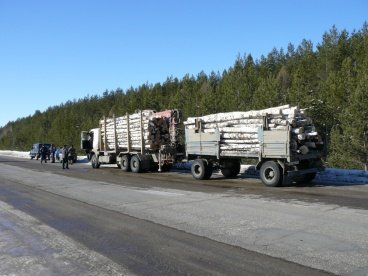 В Пензенской области завершилась операция «Лесовоз»