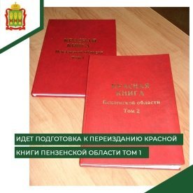 Первый том Красной книги Пензенской области будет переиздан