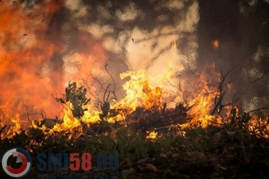 Этой осенью в Пензенской области пожаров стало в 3 раза больше