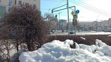 В четверг в Пензенской области потеплеет до +9°С