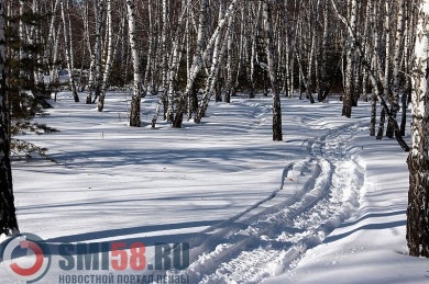 В Пензе лыжник заблудился в темном Ахунском лесу