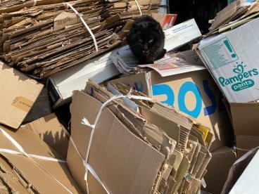 В Пензе обсудили проблему сортировки мусора