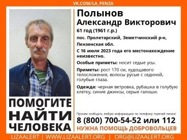 В Земетчинском районе ищут 61-летнего Александра Полынова