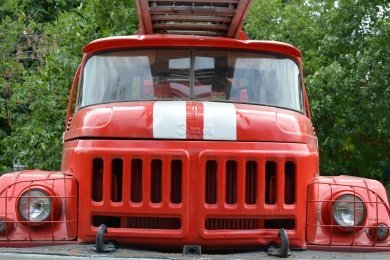 В Башмаковском районе из-за детской шалости сгорело 15 телят
