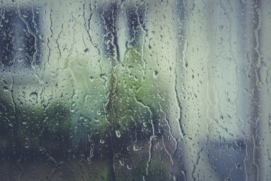 В понедельник в Пензе ожидается дождь и тепло