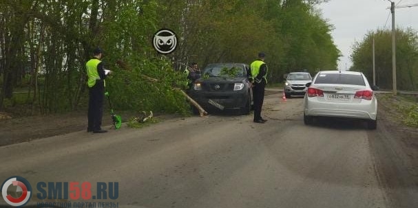 Арбекова сто пенза. Авария в Пензе дерево упало на машину. Новоюрьево ДПС на дереве. Авария в Пензе на Лада калине улица Арбекова вчера. Авария в Пензе вчера на Лада калине по улице Арбекова.