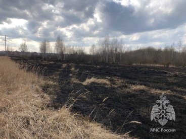 В Пензенской области зафиксированы первые случаи возгорания сухой травы