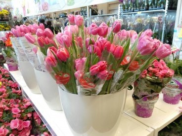 4 марта в Пензе откроются ярмарки цветов к Международному женскому дню