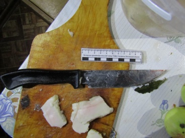 Жительница Пензы ударила возлюбленного ножом на застолье в Мокшане