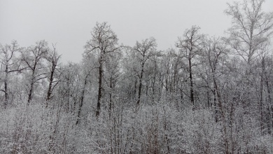 В субботу в Пензенской области сохранится сильный снег с гололедицей