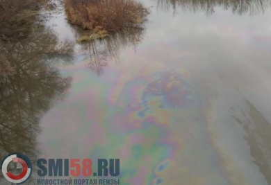 Реку Ардым в Пензе не могут полностью отчистить от нефти из-за льда