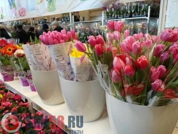 В Пензе к 8 Марта открылись цветочные ярмарки
