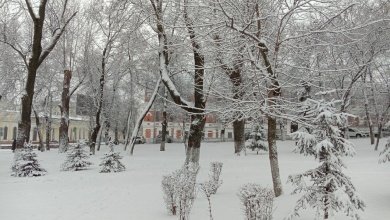 В четверг в Пензенской области похолодает до -12°С