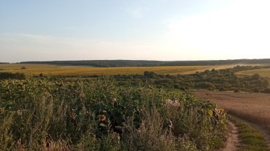 В среду в Пензенской области немного потеплеет