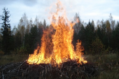В Пензенской области пожары уничтожили почти 130 га леса