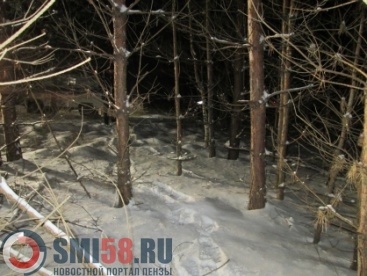 В Нижнеломовском районе охотника застрелили при преследовании кабана