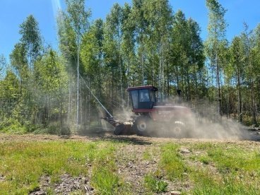 В Пензенской области в 2025 году введут в оборот 7,5 тысяч гектаров необрабатываемой пашни