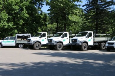 Пензенская область получит 41 млн рублей на лесопожарную технику