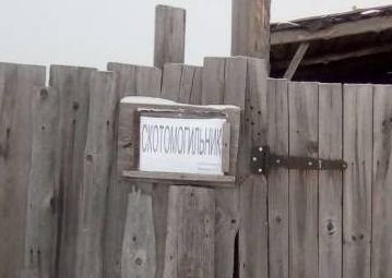 В Шемышейском районе выявили два опасных скотомогильника