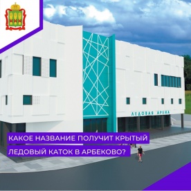 В Пензе открылось голосование за название нового открытого катка в Арбеково