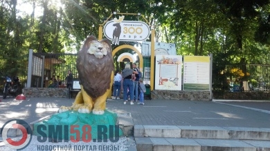 Пензенских студентов приглашают в зоопарк по скидке в честь праздника