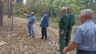 В Пензе продолжается восстановление дендрария имени Морозова: высажено более 900 деревьев