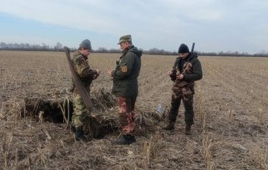 Пензенским охотникам дали больше времени на подачу заявок на добычу охотничьих ресурсов