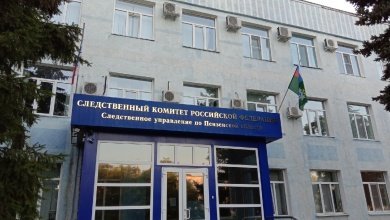 Судьбой сквера «Семейный» в Пензе заинтересовался председатель СК Бастрыкин