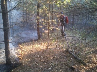 В Пензенской области произошло три лесных пожара