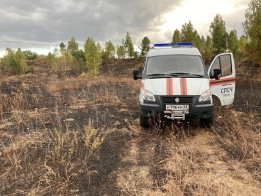 В Пензенской области нашли виновника пожара на пшеничном поле