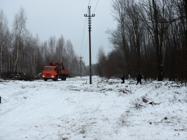 В Нижнеломовском районе при установке линии электропередач незаконно срубили деревья