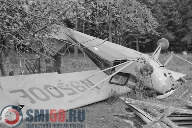 Следком выяснят причины падения самолета в Пензенской области