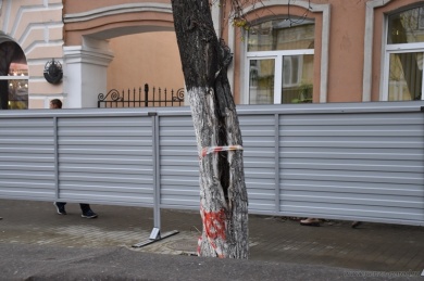 Стала известна судьба деревьев на улице Московской в Пензе