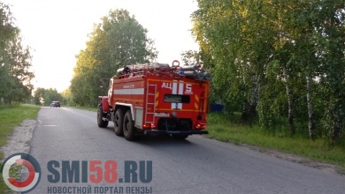 Названы сроки начала пожароопасного периода в Пензенской области