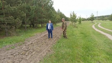 На плантации черешчатого дуба в Сердобском районе сохранилось 80% растений