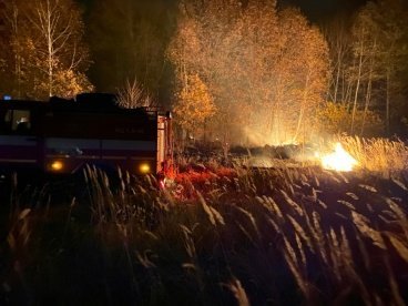 В Нижнеломовском районе загорелся лес