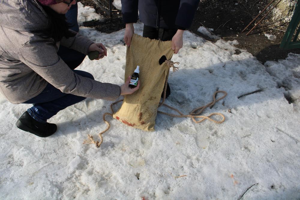 В пензенском зоопарке льва развлекли за обедом