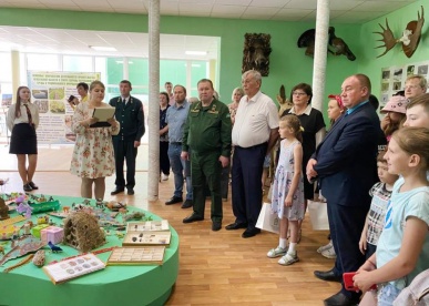 Уникальное окаменелое дерево можно увидеть в пензенском Музее леса