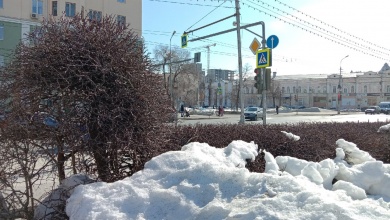 В Пензенской области в четверг потеплеет до +9ºС