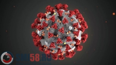 Более тысячи зареченцев заразились коронавирусом